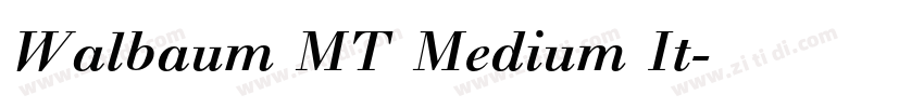 Walbaum MT Medium It字体转换